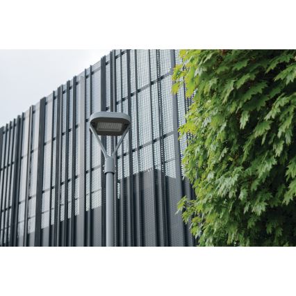 Candeeiro público LED PARCOLI LED/30/40/50W/230V 3000/4000/6500K IP66 cinzento