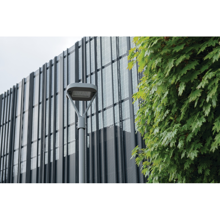 Candeeiro público LED PARCOLI LED/30/40/50W/230V 3000/4000/6500K IP66 cinzento