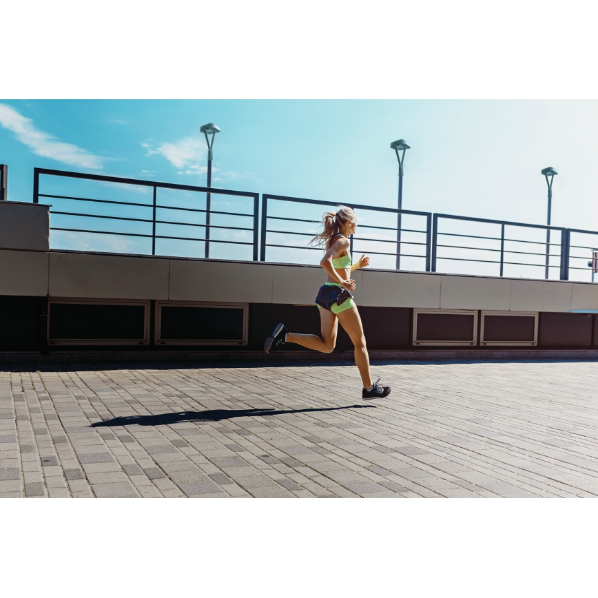 Candeeiro público LED PARCOLI LED/30/40/50W/230V 3000/4000/6500K IP66 cinzento