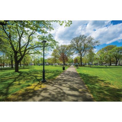 Candeeiro público LED PARCOLI LED/30/40/50W/230V 3000/4000/6500K IP66 cinzento