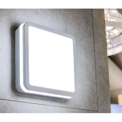 Luminária de teto LED para exterior BENO LED/12/18W/230V 3000/3500/4000K IP65 branca quadrada