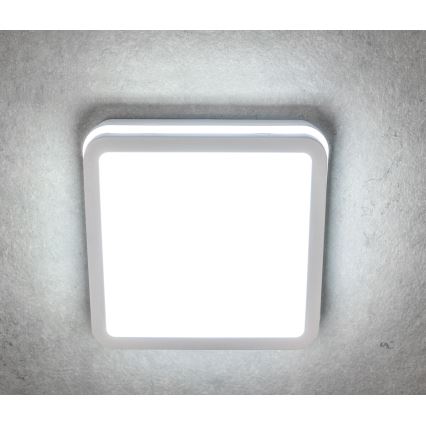 Luminária de teto LED para exterior BENO LED/12/18W/230V 3000/3500/4000K IP65 branca quadrada