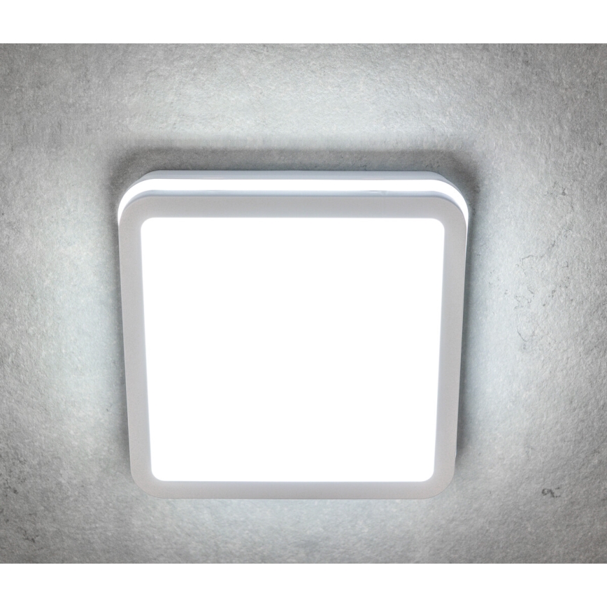 Luminária de teto LED para exterior BENO LED/12/18W/230V 3000/3500/4000K IP65 branca quadrada