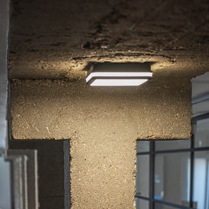 Iluminação de teto exterior LED BENO LED/12/18W/230V 3000/3500/4000K IP65 antracite angular