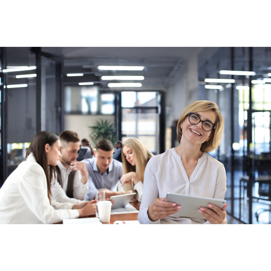 Iluminação de teto LED LINCEA LED/15/20/24W/230V 3000/4000/6500K IK08 IP40