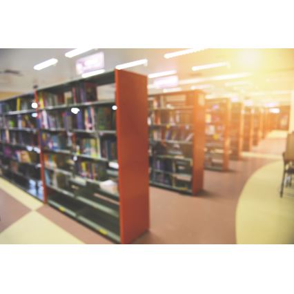 Iluminação de teto LED LINCEA LED/30/38/45W/230V 3000/4000/6500K IK08 IP40