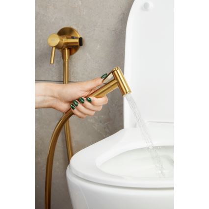 KFA Armatura 5039-512-31 - Torneira de bidé com chuveiro para instalação embutida MOZA solo dourado