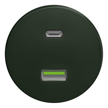Kliklap - Tomada USB Retro A+C sem moldura verde