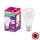 Lâmpada antibacteriana LED A100 E27/13W/230V 6500K - Osram
