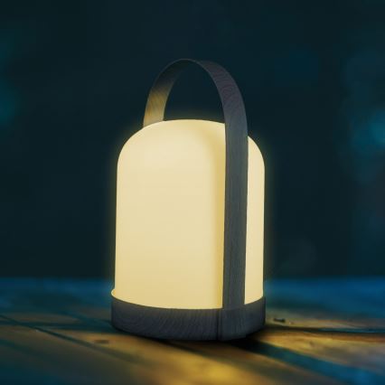 Lâmpada de mesa decorativa LED RGBW MINORKA LED/0,3W/4,5V 3xAA