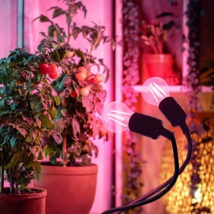 Lâmpada de mesa flexível com clipe para cultivo de plantas PLANTY 2xE27/30W/230V preta