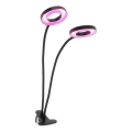 Lâmpada de mesa flexível LED dimmerizável com clipe para cultivo de plantas VITARO 2xLED/4W/230V preta