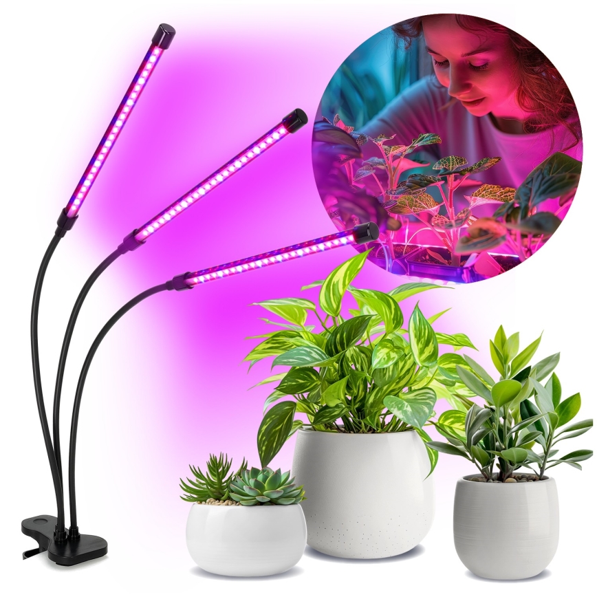 Lâmpada de mesa flexível LED regulável com clipe para cultivo de plantas VITARO 3xLED/10W/230V preta
