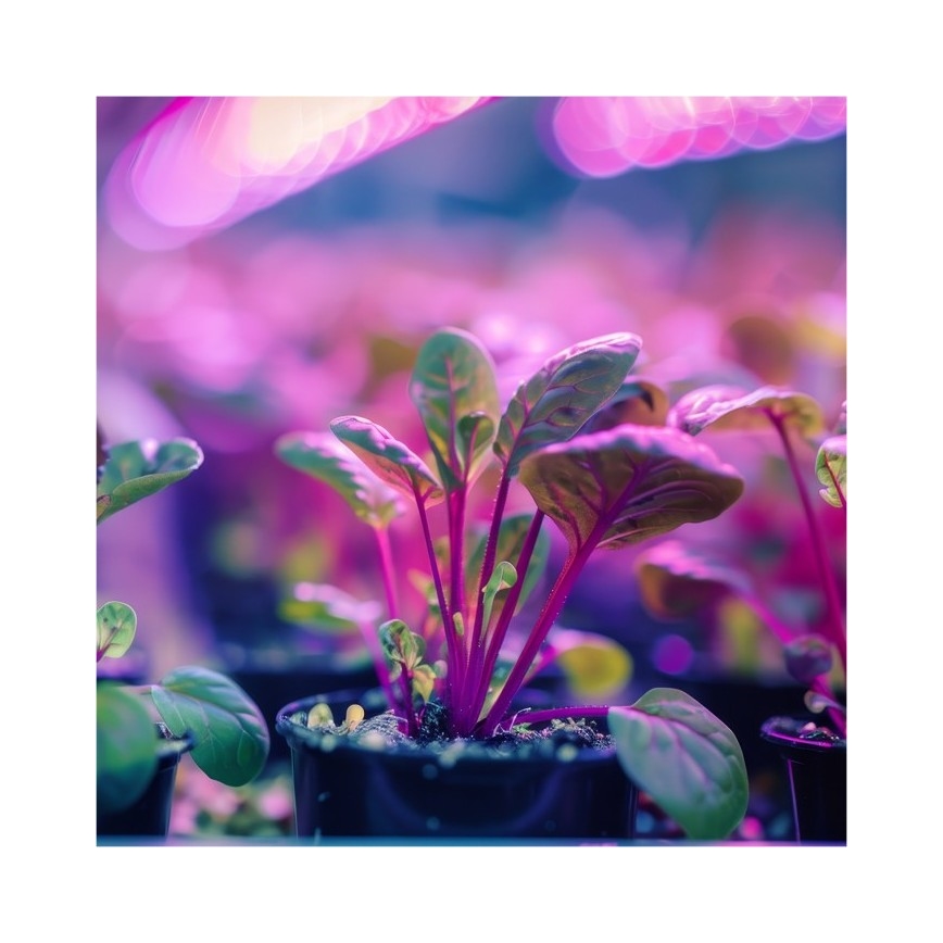 Lâmpada de mesa flexível com clipe para cultivo de plantas PLANTY 1xE27/30W/230V branca