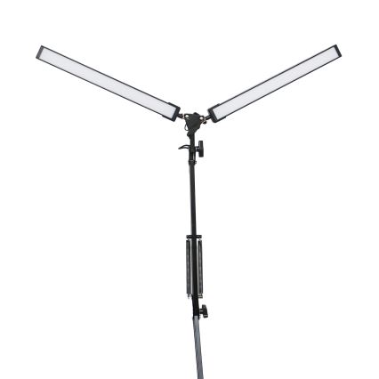 Lâmpada de mesa LED com grampo 2xLED/10W/230V 2800-6800K