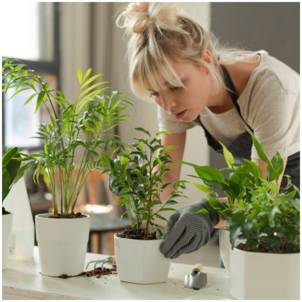 Candeeiro de secretária LED regulável para cultivo de plantas VERDI LED/5W/5V 1300K CRI 95 preto