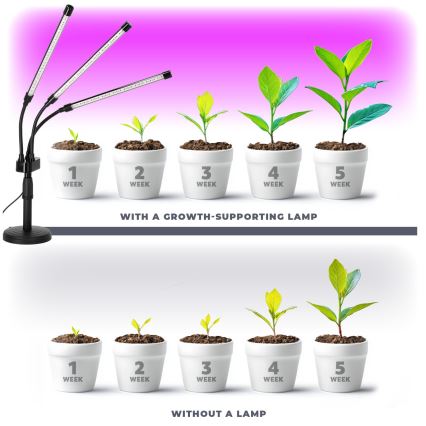 Lâmpada de mesa flexível LED dimmerizável para cultivo de plantas VITARO 3xLED/10W/230V preta