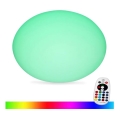 Lâmpada exterior LED RGB regulável LED/1W/5V 1000 mAh 20cm IP67 + comando à distância