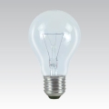 Lâmpada industrial especial E27/100W/24V