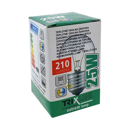 Lâmpada industrial G45 E27/25W/230V 2700K