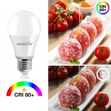 Lâmpada LED A70 E27/17W/230V 6500K