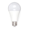 Lâmpada LED A80 E27/18W/230V 3000K