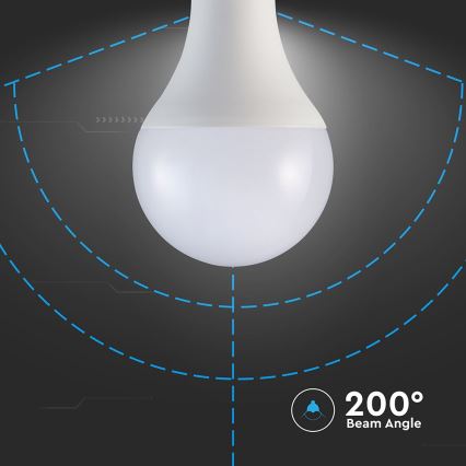 Lâmpada LED A80 E27/20W/230V 3000K