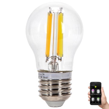 Lâmpada LED com regulação FILAMENT MESH Inteligente G45 E27/4,5W/230V 2700-6500K - Aigostar