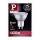 Lâmpada LED com regulação GU10/7W/230V 4000K - Paulmann 28756