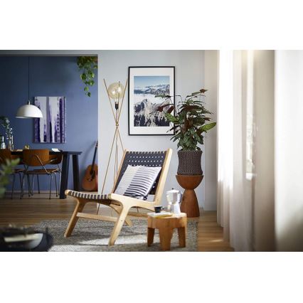 Lâmpada LED com regulação VINTAGE Philips G200 E27/7W/230V 2000K