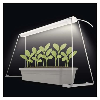 Lâmpada LED de interior para cultivo de plantas GROW LED/15W/230V