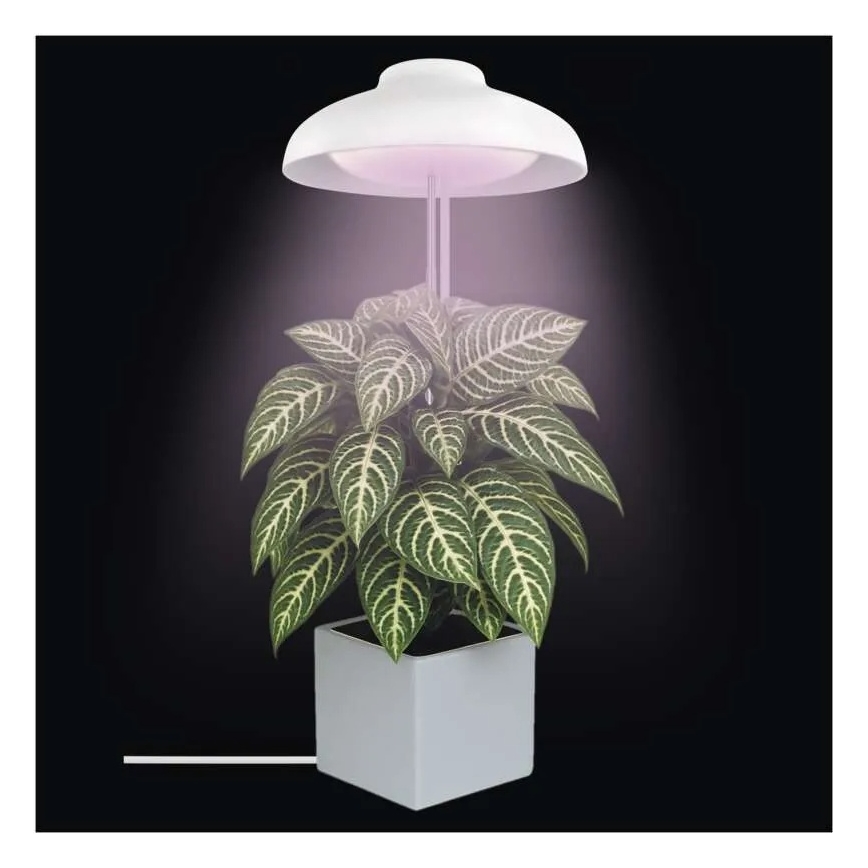 Lâmpada LED de interior para cultivo de plantas GROW LED/5W/5V