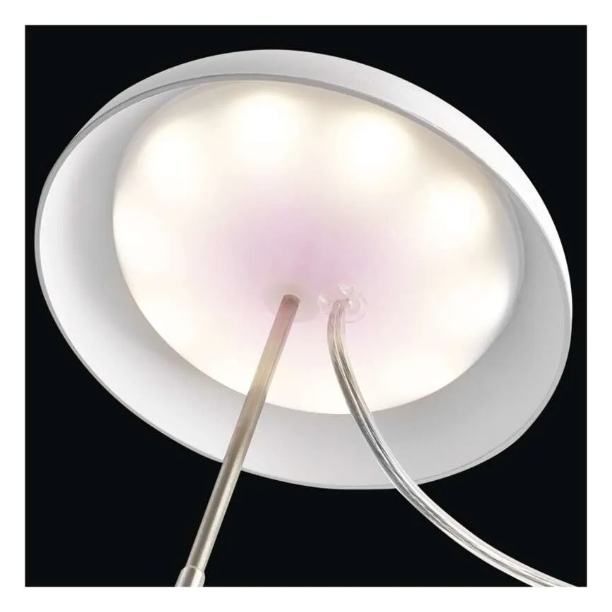 Lâmpada LED de interior para cultivo de plantas GROW LED/5W/5V