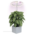 Lâmpada LED dimerizável de interior para cultivo de plantas GROW LED/8W/5V