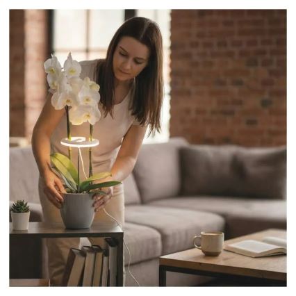 Lâmpada LED dimerizável de interior para cultivo de plantas GROW LED/8W/5V