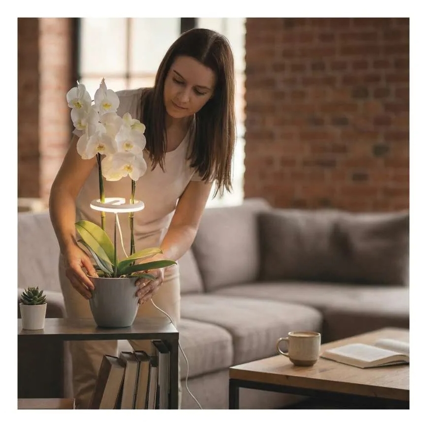 Lâmpada LED dimerizável de interior para cultivo de plantas GROW LED/8W/5V