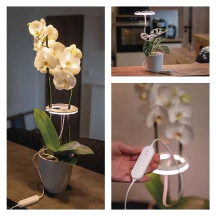 Lâmpada LED dimerizável de interior para cultivo de plantas GROW LED/8W/5V