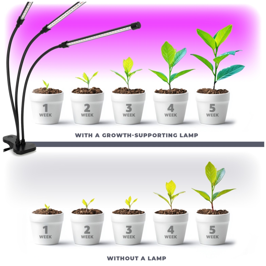 Lâmpada de mesa flexível LED regulável com clipe para cultivo de plantas VITARO 3xLED/10W/230V preta