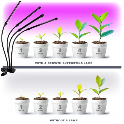 Lâmpada de mesa flexível LED dimmerizável com clipe para cultivo de plantas VITARO 4xLED/10W/230V preta