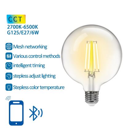 Lâmpada LED com regulação FILAMENT MESH Inteligente G125 E27/6W/230V 2700-6500K - Aigostar