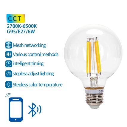 Lâmpada LED com regulação FILAMENT MESH Inteligente G95 E27/6W/230V 2700-6500K - Aigostar