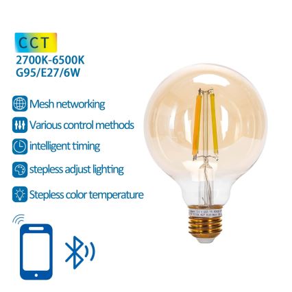 Lâmpada LED com regulação FILAMENT MESH Inteligente G95 E27/6W/230V 2700-6500K - Aigostar
