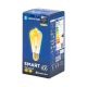 Lâmpada LED FILAMENT ST64 E27/6W/230V 2700-6500K - Aigostar