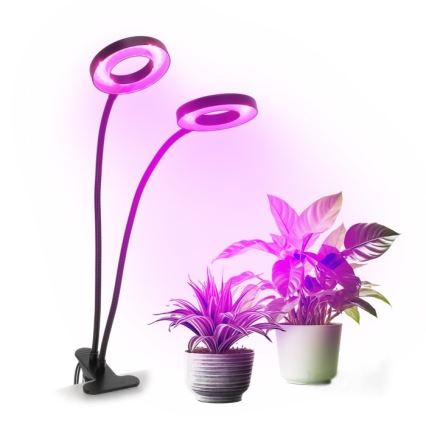 Lâmpada de mesa flexível LED dimmerizável com clipe para cultivo de plantas VITARO 2xLED/4W/230V preta