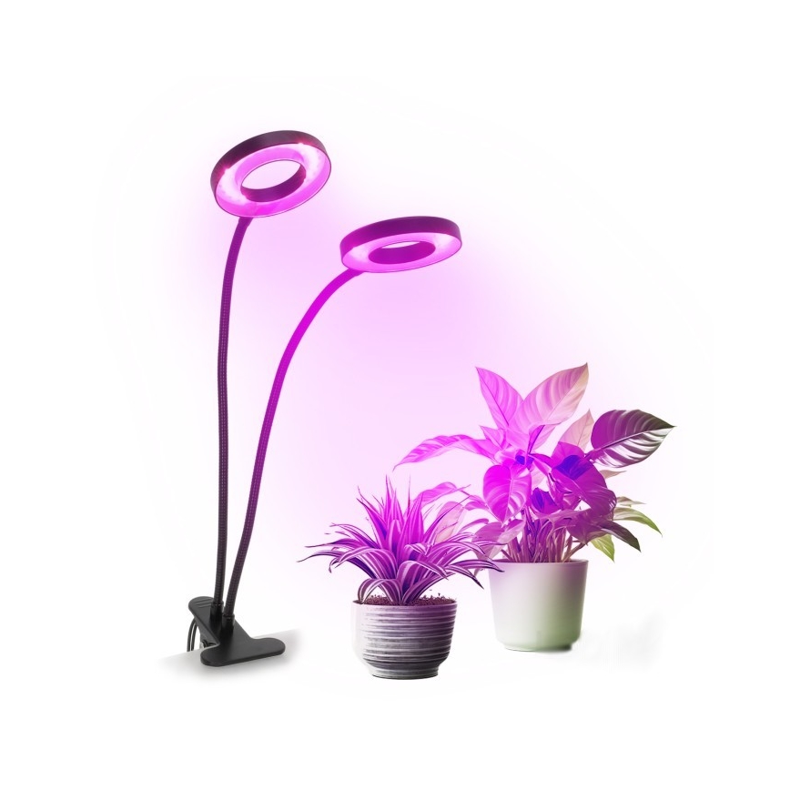 Lâmpada de mesa flexível LED dimmerizável com clipe para cultivo de plantas VITARO 2xLED/4W/230V preta
