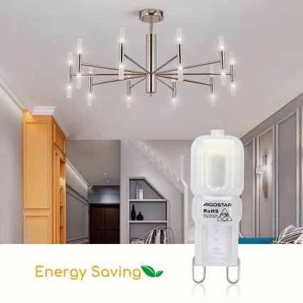 Lâmpada LED G9/2W/230V 6500K - Aigostar