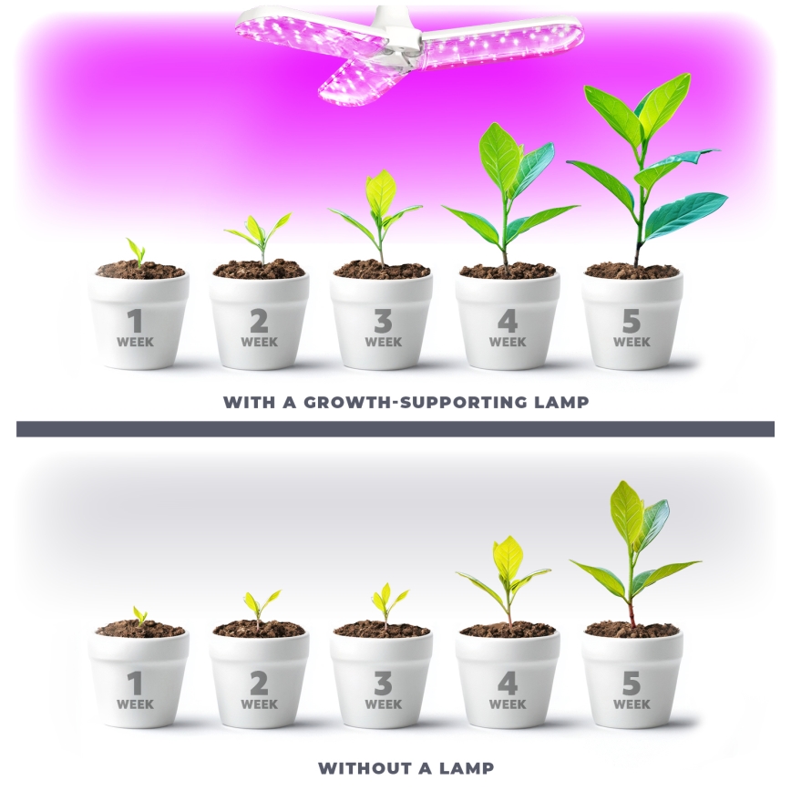 Lâmpada LED para crescimento de plantas PLANTY E27/24W/230V 1200K