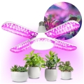 Lâmpada LED para crescimento de plantas PLANTY E27/40W/230V 1200K