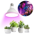 Lâmpada LED para crescimento de plantas PLANTY E27/9W/230V 1200K branco