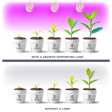 Lâmpada LED para crescimento de plantas VITABLOOM E27/8W/230V 1200K - Brilagi